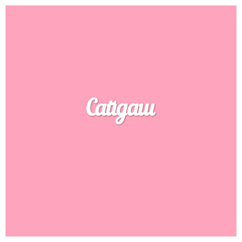 Чипборд. Сайдаш Чипборд. Сайдаш