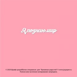 Чипборд. Я познаю мир