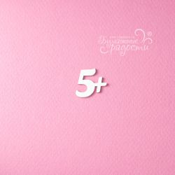 Чипборд. Оценка 5+