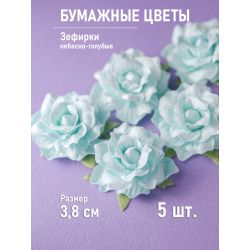 Роза "Зефирка"...