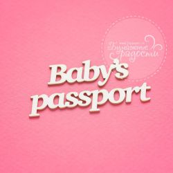 Baby's passport