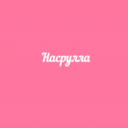 Чипборд. Насрулла