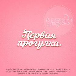 Чипборд. Первая прогулка