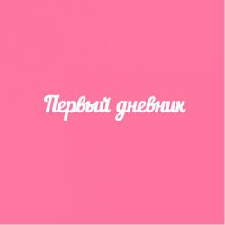 Первый дневник