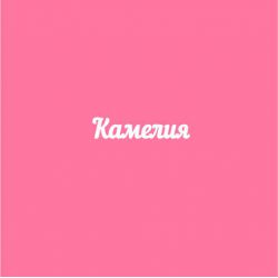 Чипборд. Камелия