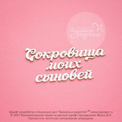 Чипборд. Сокровища моих сыновей