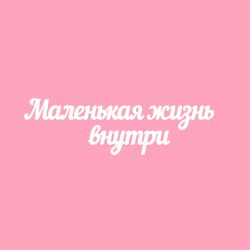 Чипборд. Маленькая жизнь внутри