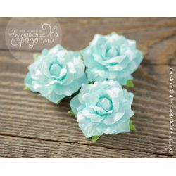 Роза "Зефирка" небесно-голубая 4 шт (новая версия)