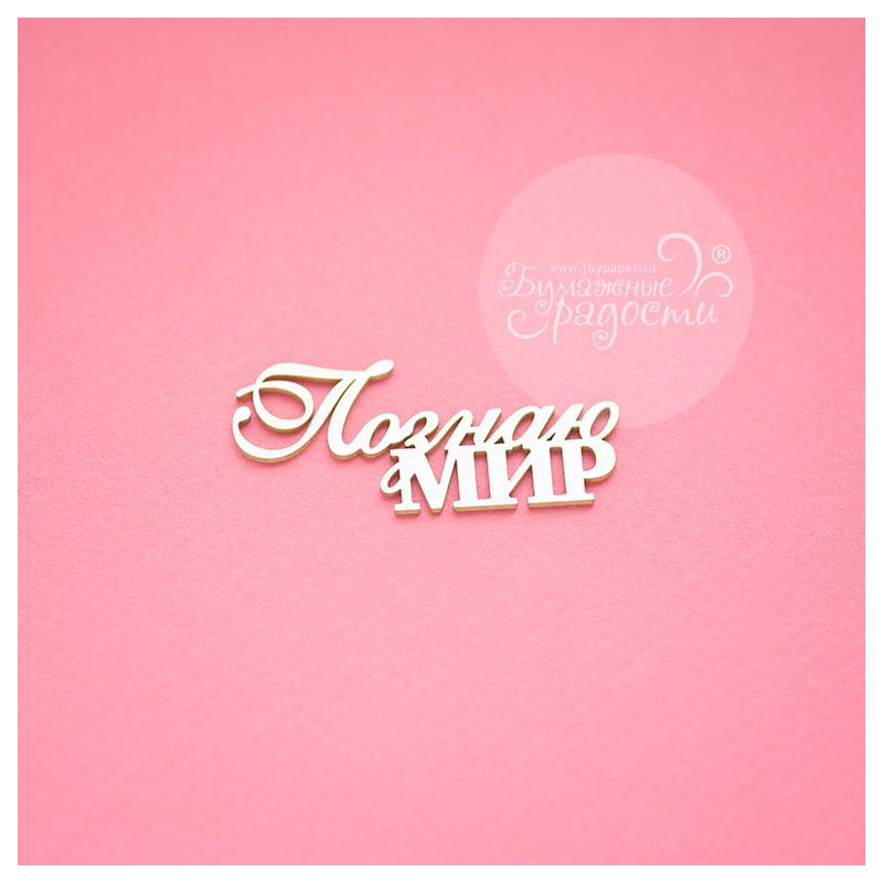 Чипборд. Познаю мир