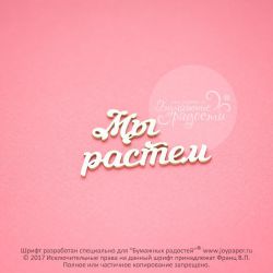 Чипборд. Мы растем