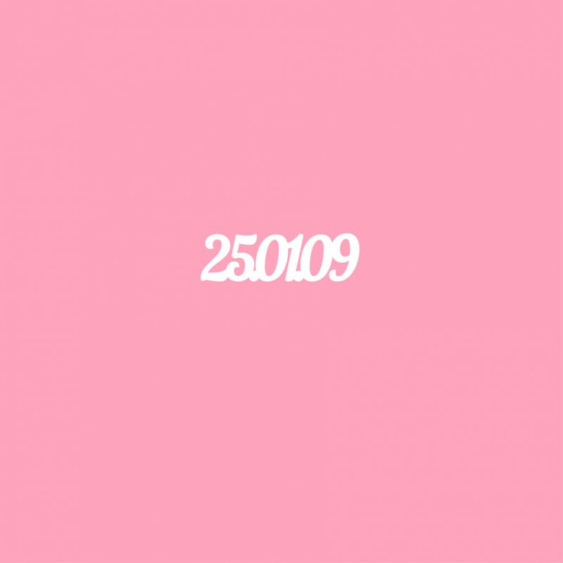Чипборд. 25.01.09 Чипборд. 25.01.09