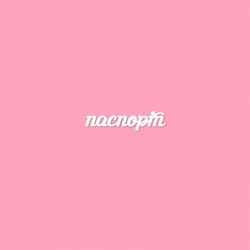 Чипборд. паспорт Чипборд. паспорт