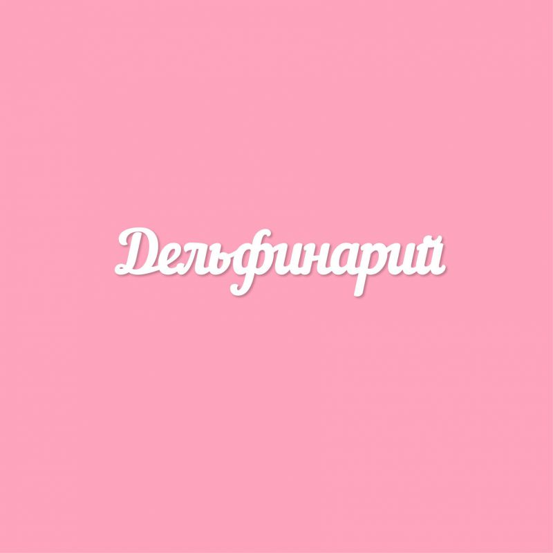 Чипборд. Дельфинарий Чипборд. Дельфинарий