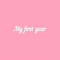 Чипборд. My first year