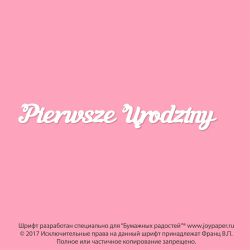 Чипборд. Pierwsze Urodziny