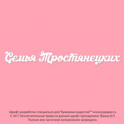 Чипборд. Семья Тростянецких