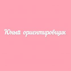 Чипборд. Юный ориентировщик