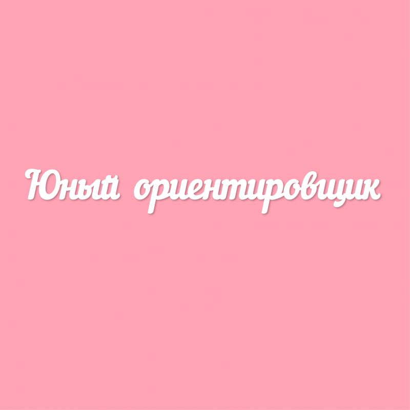 Чипборд. Юный ориентировщик