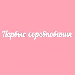 Чипборд. Первые соревнования