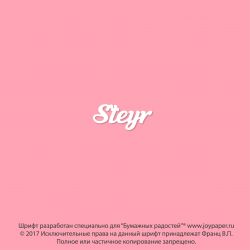 Чипборд. Steyr