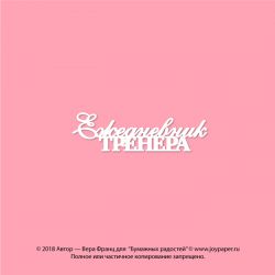 Чипборд. Ежедневник тренера