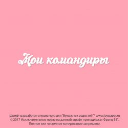 Чипборд. Мои командиры