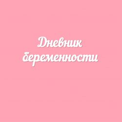 Дневник беременности